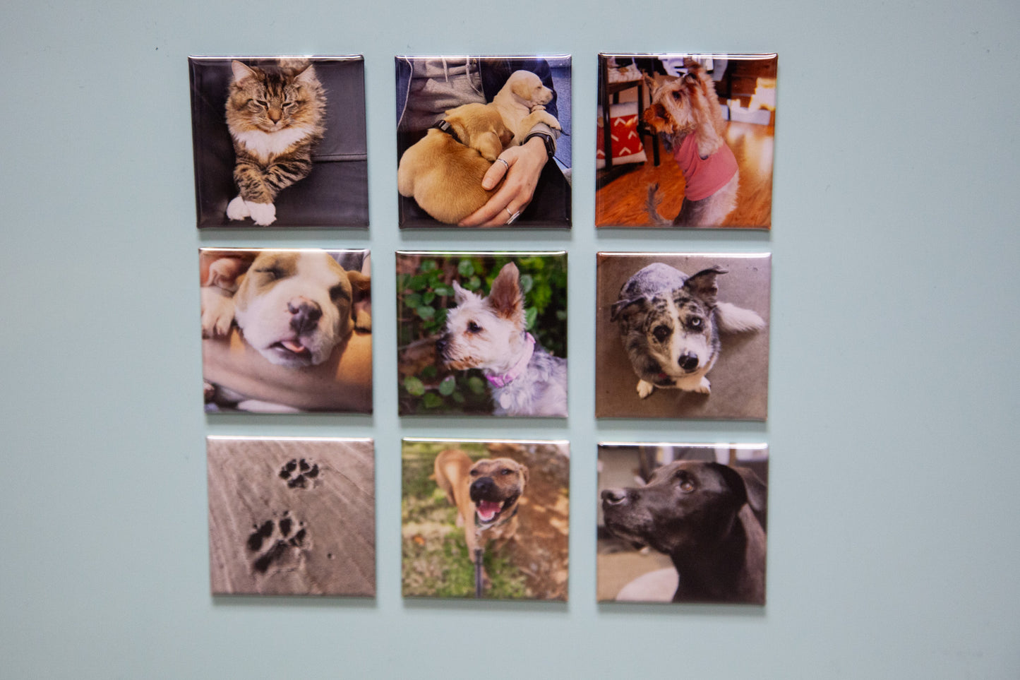 Custom Photo Magnets - Set of 9 - Square