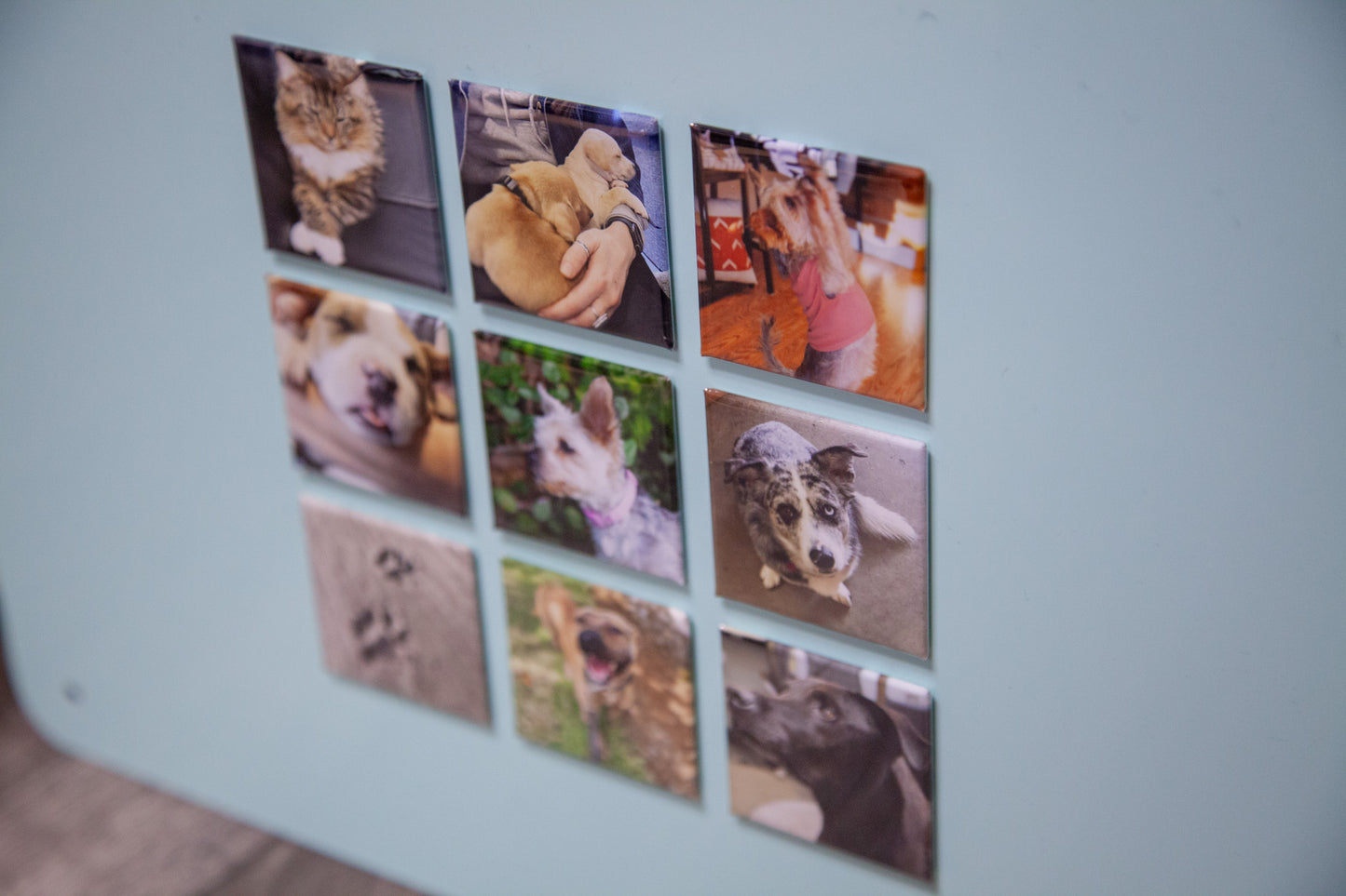 Custom Photo Magnets - Set of 9 - Square