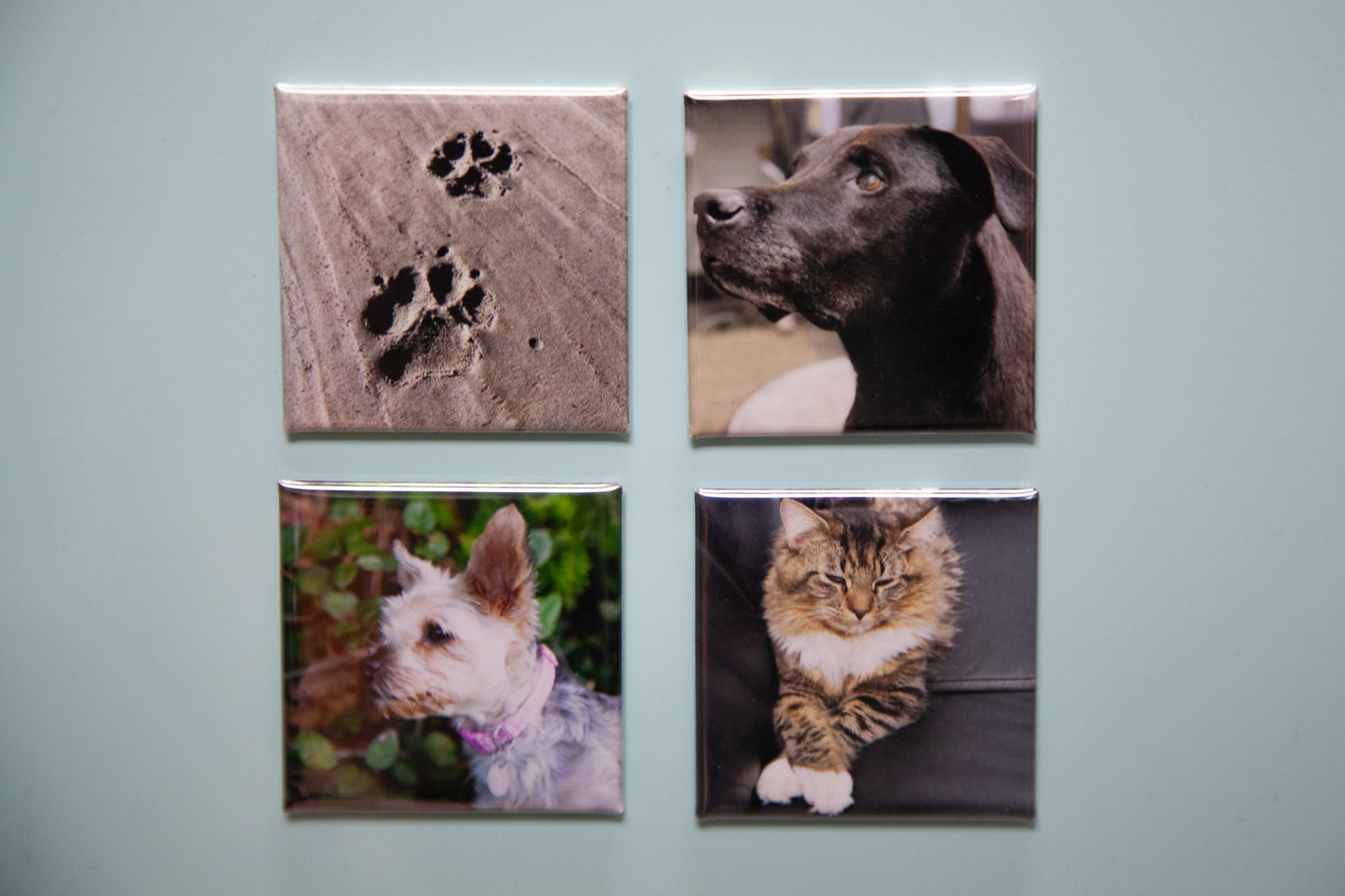 Custom Photo Magnets - Set of 9 - Square